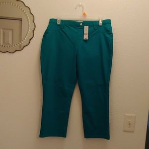 New York & Company Capri